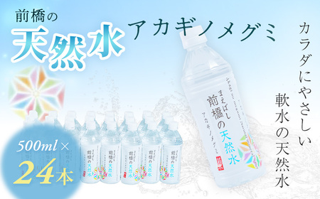 水 ミネラルウォーター 天然水 アカギノメグミ 500ml×1ケース 24本 12L| 水 水 水 水 水 水 ミネラルウォｰタｰ ミネラルウォーター
