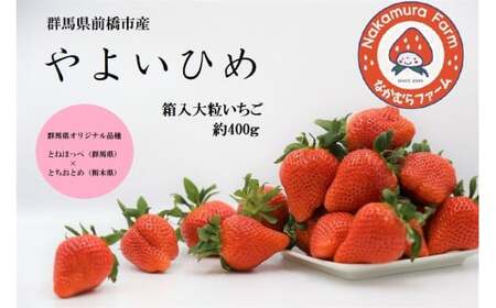 [2026年 先行予約]いちご 箱入り大粒いちご 『やよいひめ』 約400g[群馬県いちご品評会入賞!]