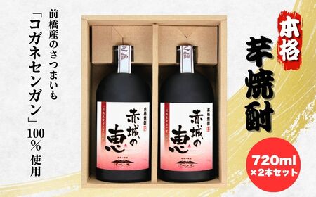 赤城の恵 芋焼酎25° セット(720mlボトル×2本) | 焼酎 焼酎 焼酎 焼酎 焼酎