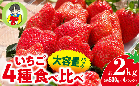 [2026年 先行予約]いちご 4種食べ比べ 大容量パック 約500g×4パック 2kg | いちご いちご いちご いちご いちご