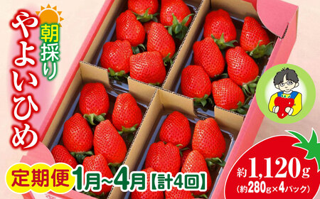 [2026年 先行予約][定期便1月〜4月]やよいひめ 280g × 4パック 1120g 計4回 | いちご いちご いちご いちご いちご