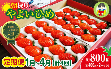 [2026年 先行予約][定期便1月〜4月]やよいひめ 400g × 2パック 800g 計4回 | いちご いちご いちご いちご いちご