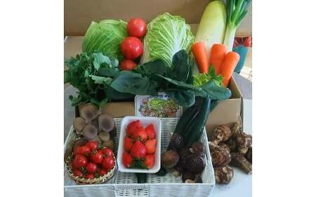 野菜【6カ月定期便】赤城南麓で育った季節の野菜