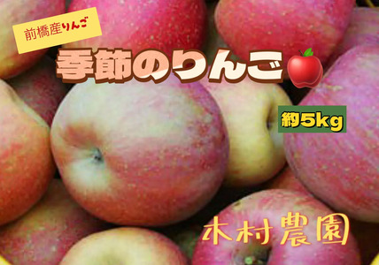 季節のりんご 5kg | りんご