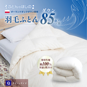 羽毛布団 ポーランドダックダウン85% クイーン 布団