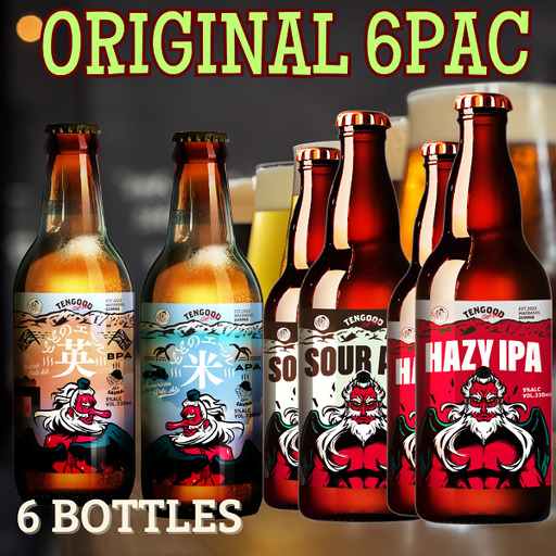 クラフトビール TENGOOD BEER 4種飲み比べセット テングビール