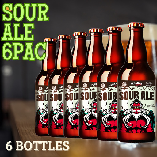 クラフトビール SOUR ALE 6本セット テングビール