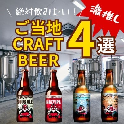 クラフトビール TENGOOD BEER 同一銘柄12本セット テングビール