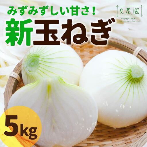 新玉ねぎ 5kg 玉ねぎ