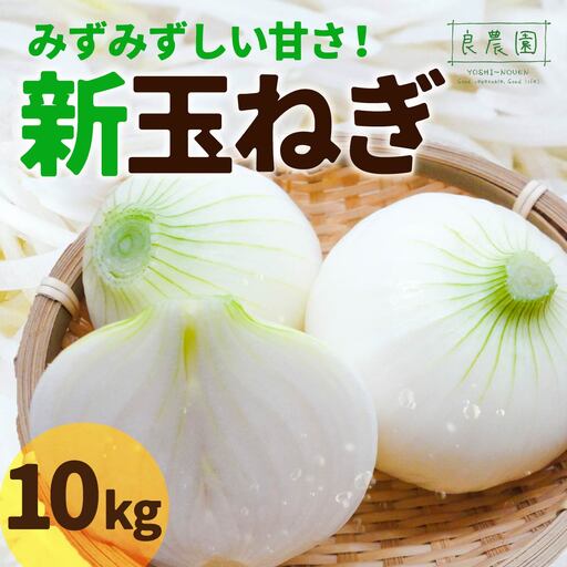 新玉ねぎ 10kg 玉ねぎ