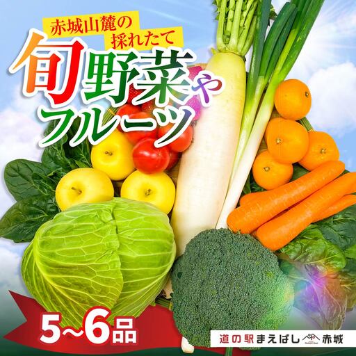 季節の旬の野菜 詰め合わせ 5~6品 | 野菜