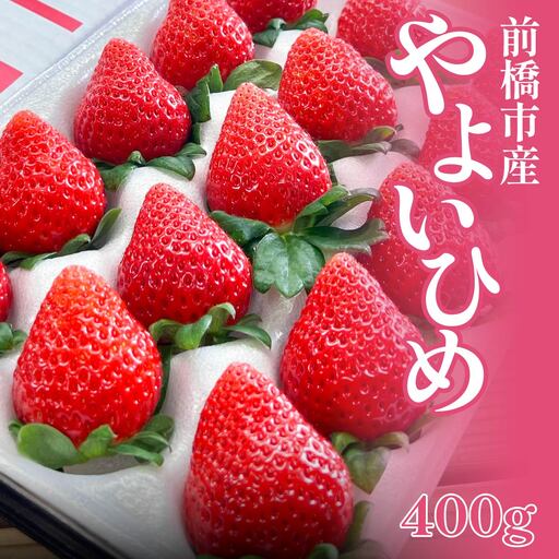いちご やよいひめ 贈答用化粧箱 1シート 400g いちご