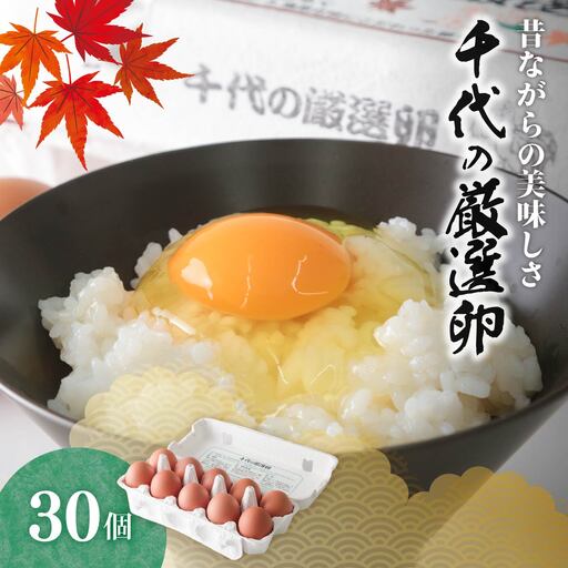 卵 一度食べたら変えられない 厳選卵 30個 割れ保証付き