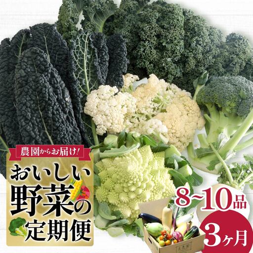 西洋野菜 一般野菜 旬野菜セット 8〜10品 定期便 3ヶ月 | やさい