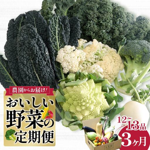 野菜ソムリエが送る 旬野菜セット 12〜13品 3回 定期便 西洋野菜 一般野菜 | やさい