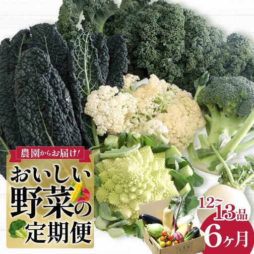 野菜ソムリエが送る 旬野菜セット 12〜13品 6回 定期便 西洋野菜 | やさい