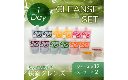 オーガニック野菜のコールドプレスジュース 「1-dayクレンズセット(ジュース12本、スープ2食)」