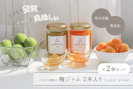 《希少品種で無添加》こだわり栽培の梅ジャム4本セット（しらかが・おりひめ各2本）