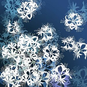 撥水風呂敷『ながれ』曼珠沙華(平織70cmサイズ)