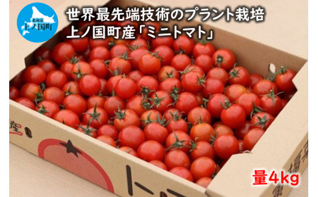[2024年]北海道上ノ国町産 寅福菜園のミニトマト(4kg) みにとまと 甘い 野菜 プラントハウス