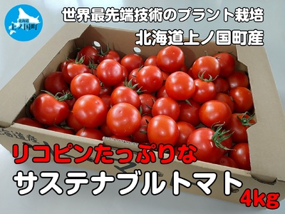 [2024年]北海道上ノ国町産 寅福菜園の高リコピントマト「サステナブルトマト」 4kg とまと 甘さと酸味 野菜 プラントハウス