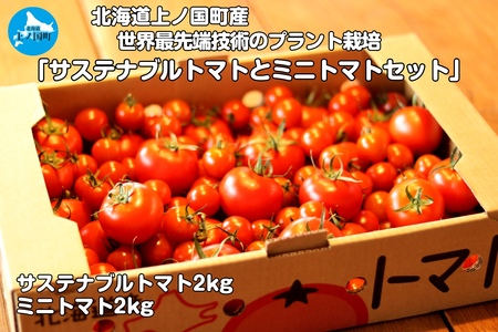 [2024年]北海道上ノ国町産 寅福菜園のトマト「サステナブルトマト&ミニトマトセット」 各2kg みにとまと 甘い 甘さと酸味 リコピン 野菜 プラントハウス