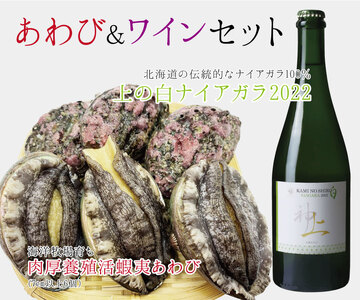 北海道産 上ノ国ワイナリー「上の白ナイアガラ2022」750ml×1本と「海洋牧場育ち養殖活蝦夷あわび」7㎝以上×6個