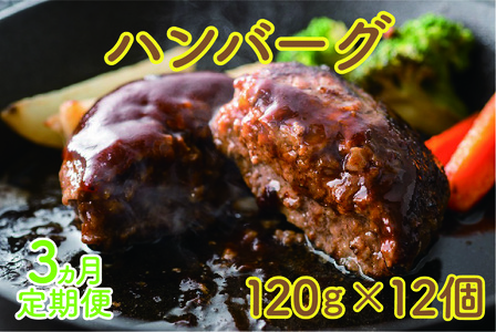 北海道上ノ国町 フルーツポークのハンバーグ(120g×12個)[10月11月12月定期便]豚肉 豚ハンバーグ 精肉店バンバーグ 手作りハンバーグ 定期便 北海道産 BBQ お弁当おかず