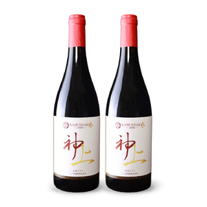 上ノ国ワイナリーの赤ワイン「上の赤2023」　750ml×2本　北海道ワイン　赤ワイン　家飲み　パーティー　贈り物　プレゼント　果実酒