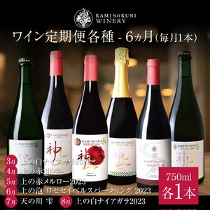 上ノ国ワイナリー「ワイン6ヶ月定期便 各種毎月1本」 750ml×1本 北海道ワイン ワイン WINE wine 定期便 赤ワイン スパークリングワイン お家パーティ プレゼント 贈り物 贈答品