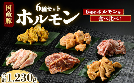 Y؃z6Zbg@v1,230g kCEEւ̔zs