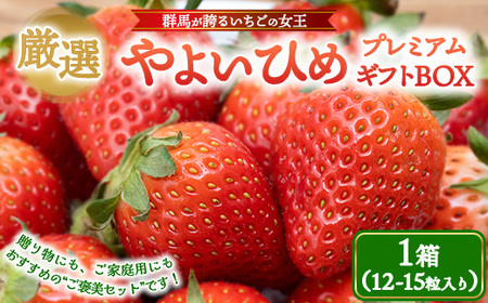 厳選 やよいひめ プレミアムギフトBOX 1箱 