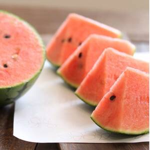 �Â����M���b!�Ƃ܂����V�����V�����H�����M�˂����܃X�C�J4��(�ߘa8�N5���`6������)_�ʕ��E�t���[�c ������  �X�C�J ���Z_�y�z���s�n��F�����z�y1213152�z