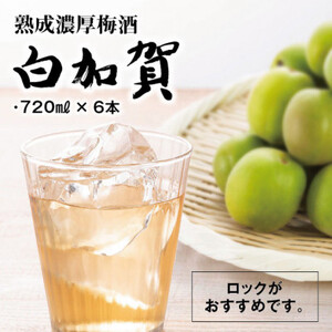 熟成濃厚梅酒白加賀(720ml×6本)_酒・アルコール 梅酒  _【1292010】
