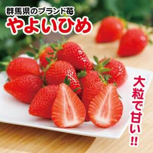 �y2026�N2���ȍ~���������z�Q�n���Y��悢�Ђ߁@(������)260g×8�p�b�N_�ʕ��E�t���[�c ������  �C�`�S �_�y�z���s�n��F�����z�y1378623�z