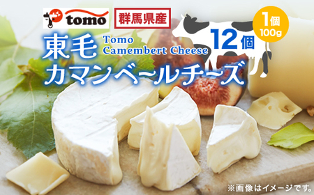 群馬県太田市　東毛カマンベールチーズ12個セット_チーズ カマンベールチーズ 乳製品 人気 おすすめ 送料無料 ギフト 贈答 プレゼント 冷蔵 東毛酪農 群馬県 セット 国産生乳_【配送不可地域：離島】【1296686】