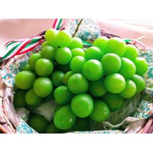 [2026年8月より発送]先行予約 群馬県産シャインマスカット2房 約1.2kg[配送不可地域:離島・沖縄県]