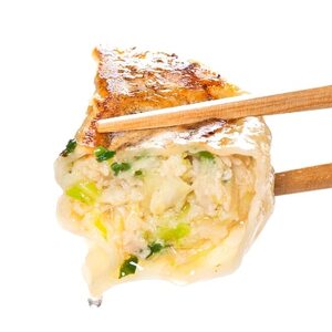 爆じゅう餃子　45個入り【配送不可地域：離島】【1209776】