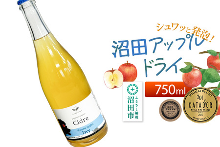 [SISGA部門最高賞ほか受賞]沼田アップルドライ(辛口)750ml×1本 Fukiware Cidrerie
