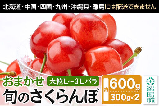 《一部地域限定発送》《6月中旬～下旬発送》おまかせ 旬のさくらんぼ 大粒L～3Lバラ詰め 約600g（約300g×2）