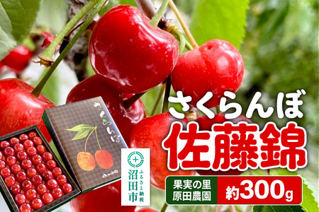 �s2026�N6�����{�`7�����{�����t�ʎ��̗� ���c�_�� �������ځi�����сj��300g