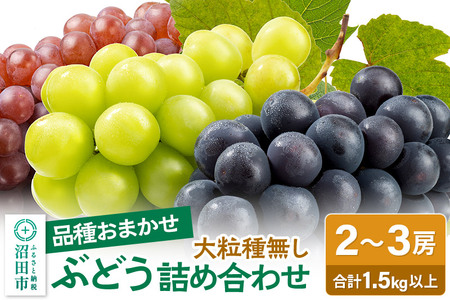 [9月上旬〜下旬発送] 園主が厳選!ぶどう詰め合わせ 1.5kg以上(2〜3房)