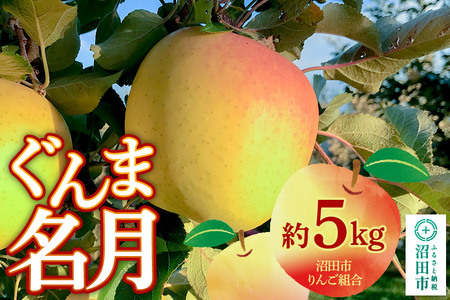 [11月中旬〜12月上旬発送]沼田市りんご組合 りんご(ぐんま名月)約5kg 群馬県沼田市