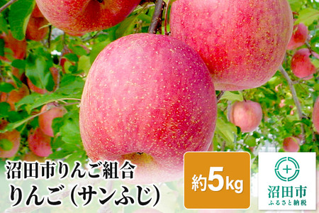 [2024年12月上旬以降発送]沼田市りんご組合 りんご(サンふじ)約5kg 群馬県沼田市