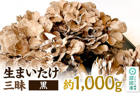 ܂Oij1000g ݕ