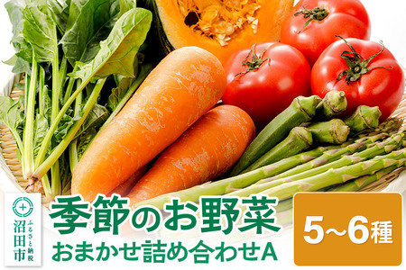 《5月上旬～11月下旬発送》季節のお野菜 おまかせセット A（5～6種類）詰め合わせ