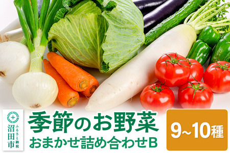 《5月上旬～11月下旬発送》季節のお野菜 おまかせセット B（9～10種類）詰め合わせ