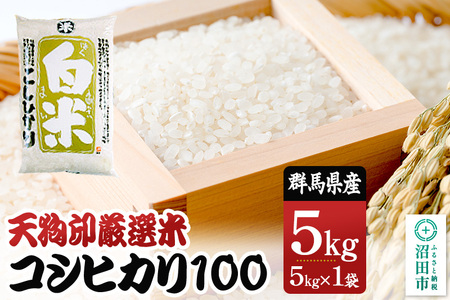 ߘa7NY V󌵑IāuRVqJ100v5kg   Ђ