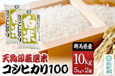 ߘa7NY V󌵑IāuRVqJ100v10kg   Ђ