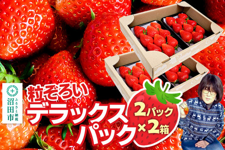 s2026N1{`2{t낢u悢Ђ߁vfbNXpbN 24pbNi280g×4jR  C`S 